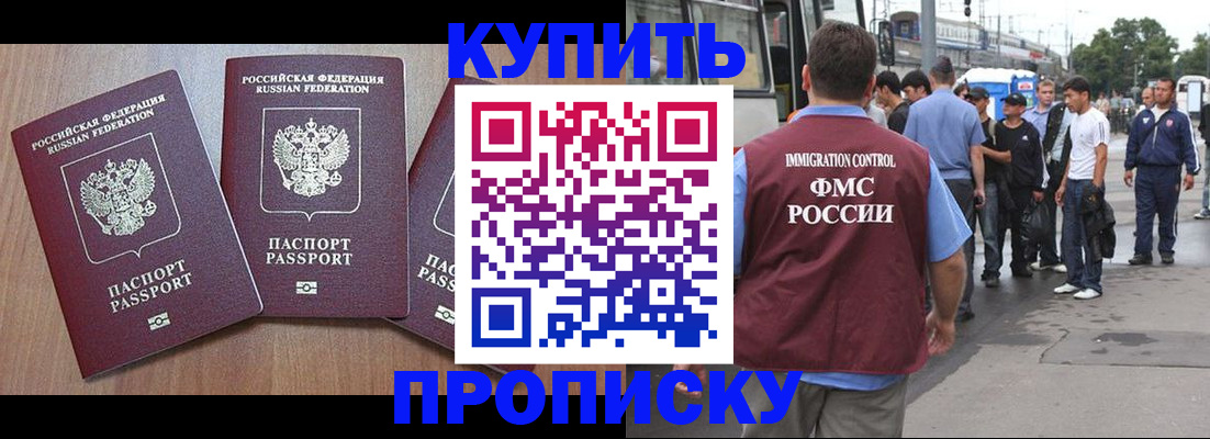 прописка 2025 в Выборге